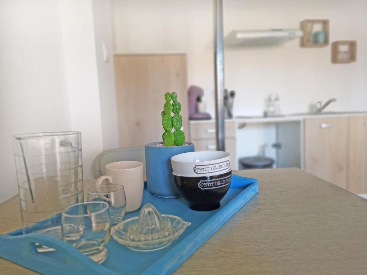 Appartement Avec Jardin - Centre Castelnaudary Zewnętrze zdjęcie